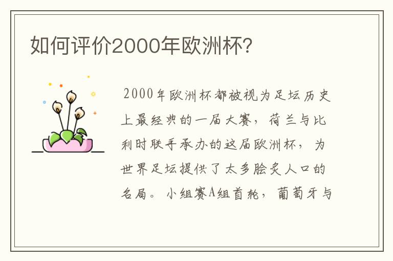 如何评价2000年欧洲杯？