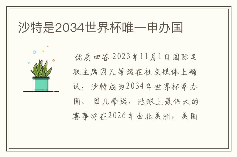 沙特是2034世界杯唯一申办国