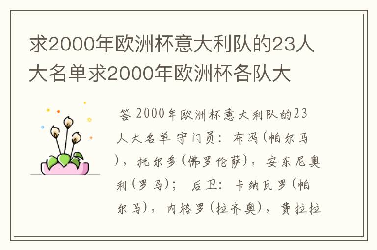 求2000年欧洲杯意大利队的23人大名单求2000年欧洲杯各队大