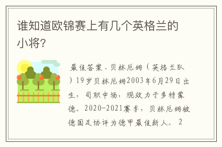 谁知道欧锦赛上有几个英格兰的小将?