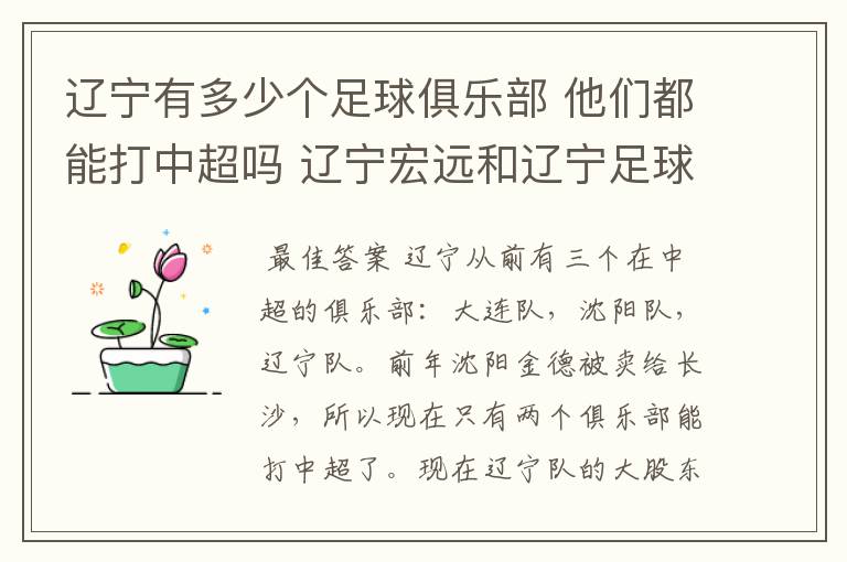 辽宁有多少个足球俱乐部 他们都能打中超吗 辽宁宏远和辽宁足球俱乐部是什么啊