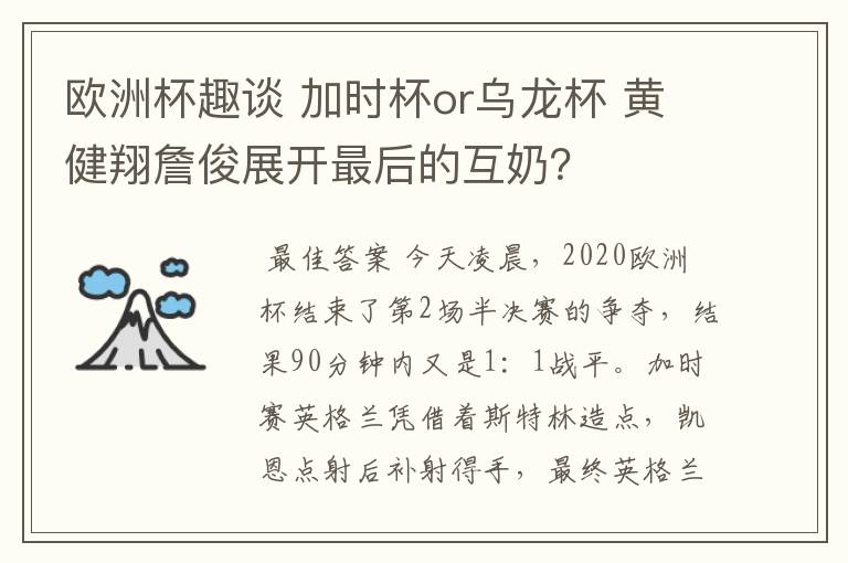 欧洲杯趣谈 加时杯or乌龙杯 黄健翔詹俊展开最后的互奶？