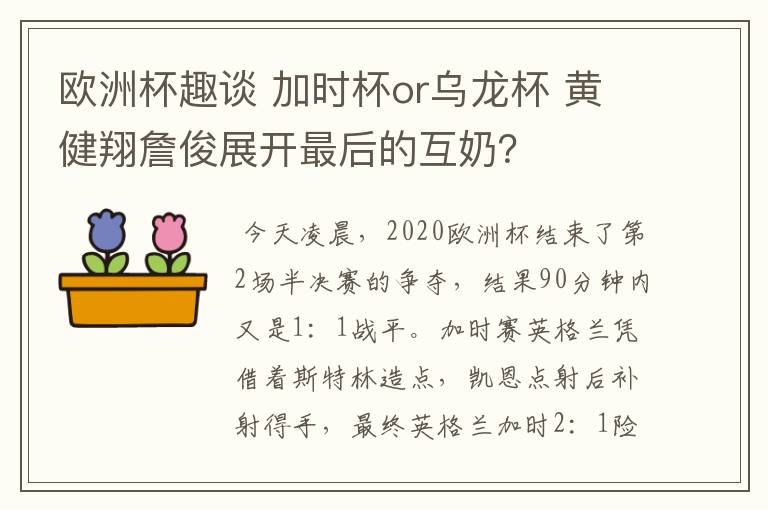 欧洲杯趣谈 加时杯or乌龙杯 黄健翔詹俊展开最后的互奶？