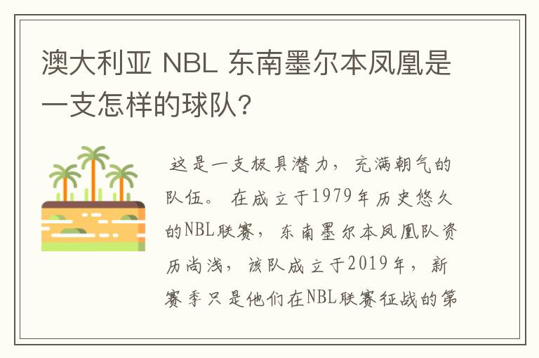 澳大利亚 NBL 东南墨尔本凤凰是一支怎样的球队?