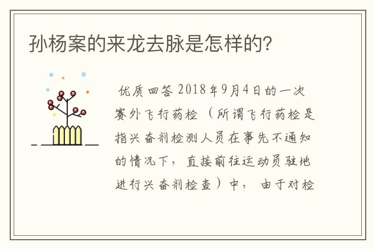 孙杨案的来龙去脉是怎样的？