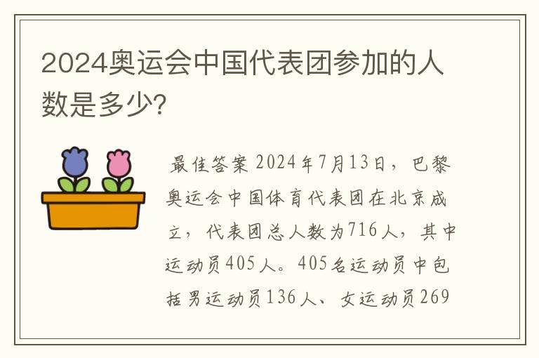 2024奥运会中国代表团参加的人数是多少？