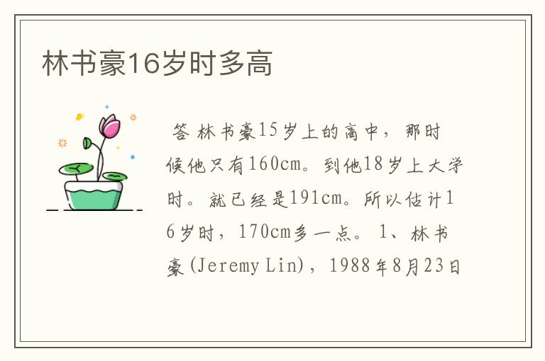 林书豪16岁时多高