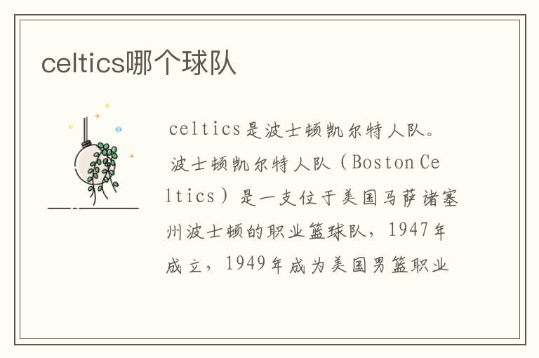 celtics哪个球队