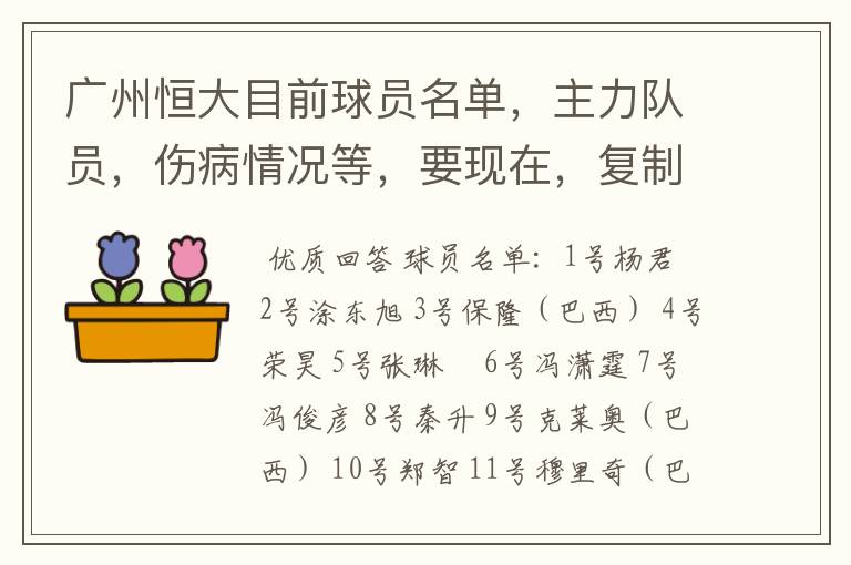 广州恒大目前球员名单，主力队员，伤病情况等，要现在，复制的别来！