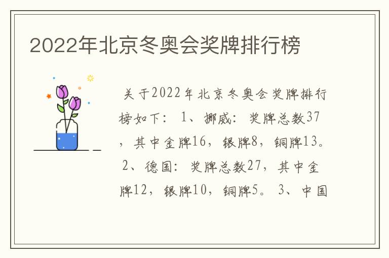 2022年北京冬奥会奖牌排行榜