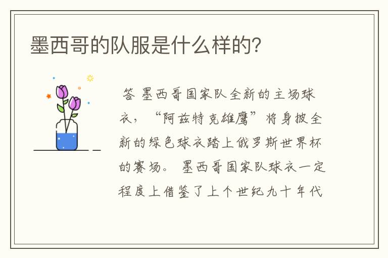 墨西哥的队服是什么样的?