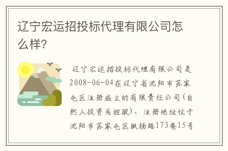 辽宁宏运招投标代理有限公司怎么样？