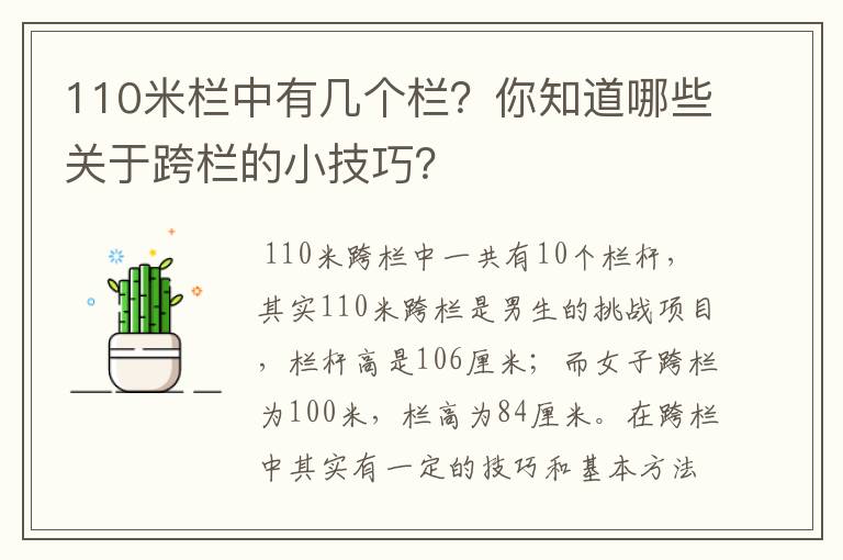 110米栏中有几个栏？你知道哪些关于跨栏的小技巧？