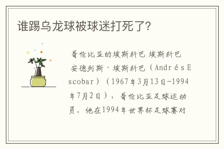 谁踢乌龙球被球迷打死了？