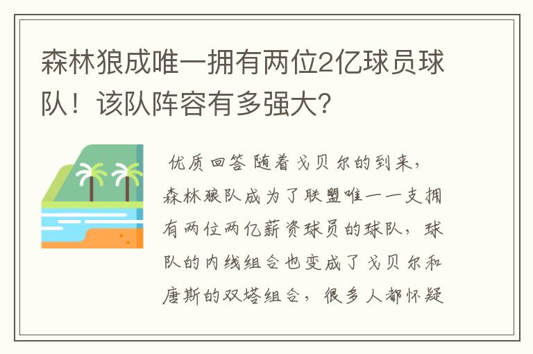 森林狼成唯一拥有两位2亿球员球队！该队阵容有多强大？