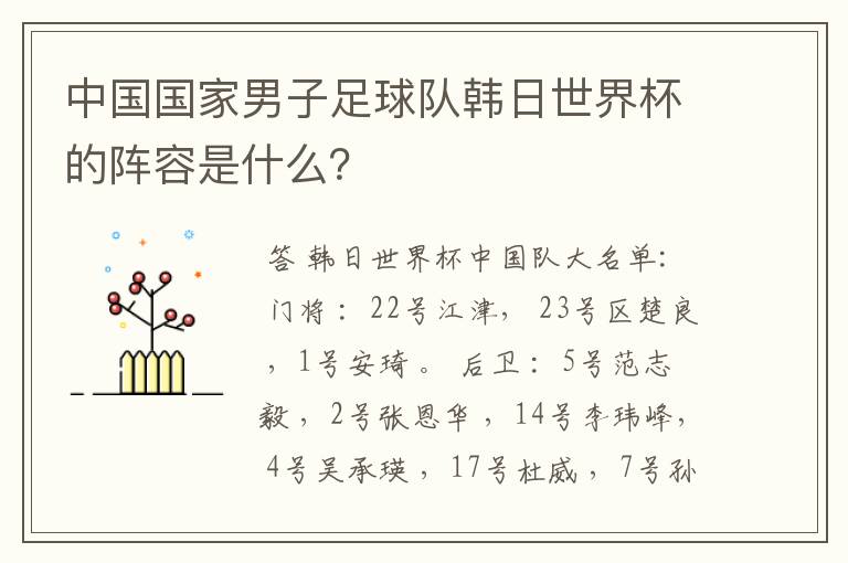 中国国家男子足球队韩日世界杯的阵容是什么？