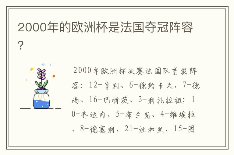 2000年的欧洲杯是法国夺冠阵容？