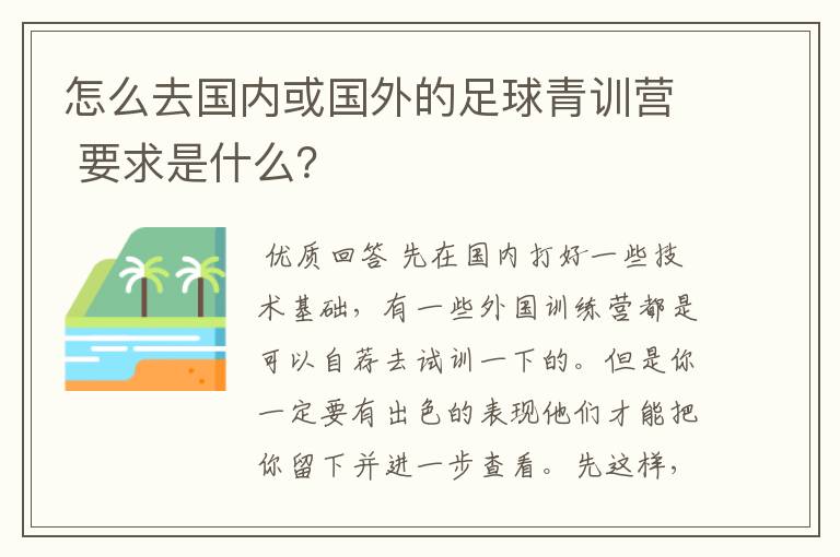 怎么去国内或国外的足球青训营 要求是什么？