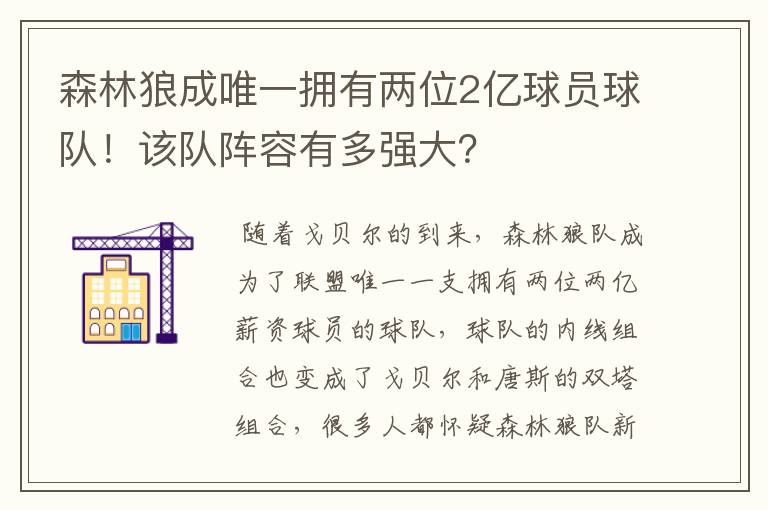 森林狼成唯一拥有两位2亿球员球队！该队阵容有多强大？