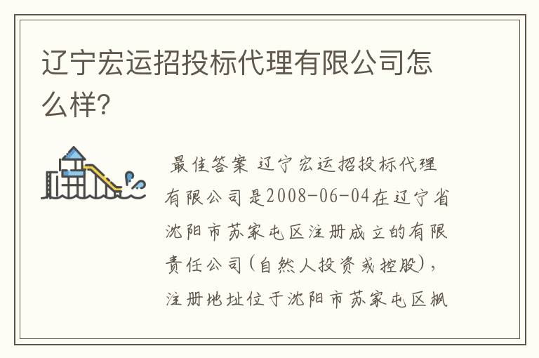 辽宁宏运招投标代理有限公司怎么样？