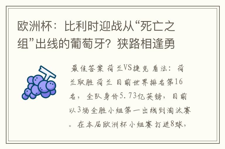 欧洲杯：比利时迎战从“死亡之组”出线的葡萄牙？狭路相逢勇者胜