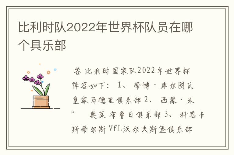 比利时队2022年世界杯队员在哪个具乐部