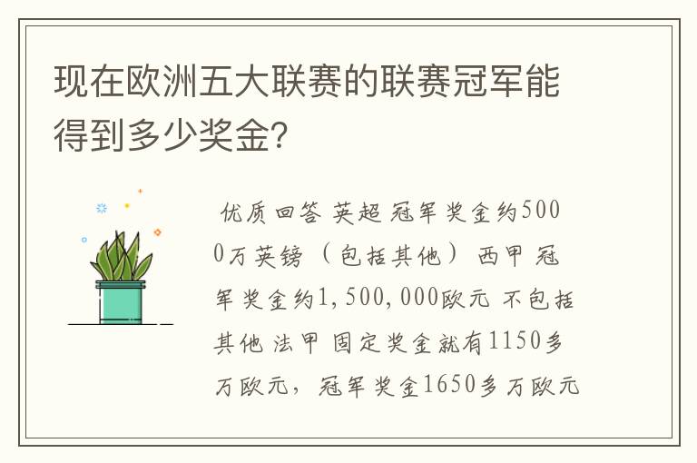 现在欧洲五大联赛的联赛冠军能得到多少奖金？