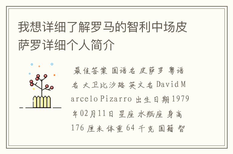 我想详细了解罗马的智利中场皮萨罗详细个人简介