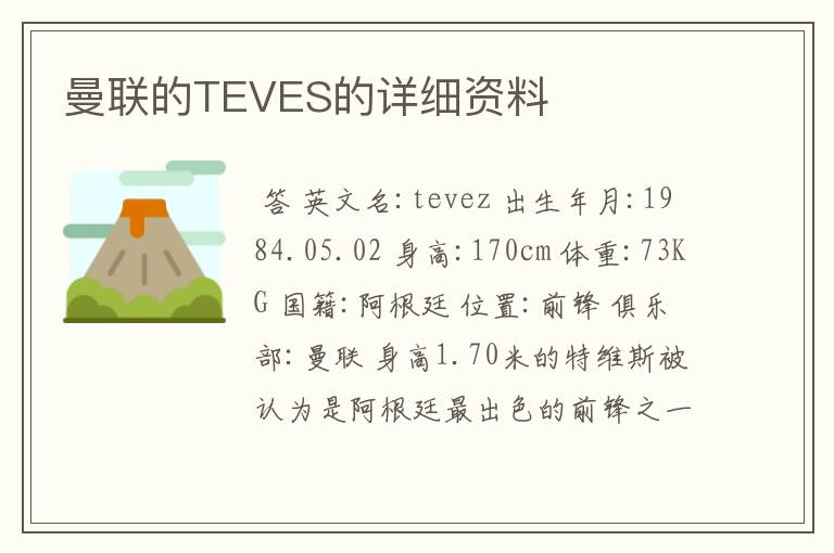 曼联的TEVES的详细资料