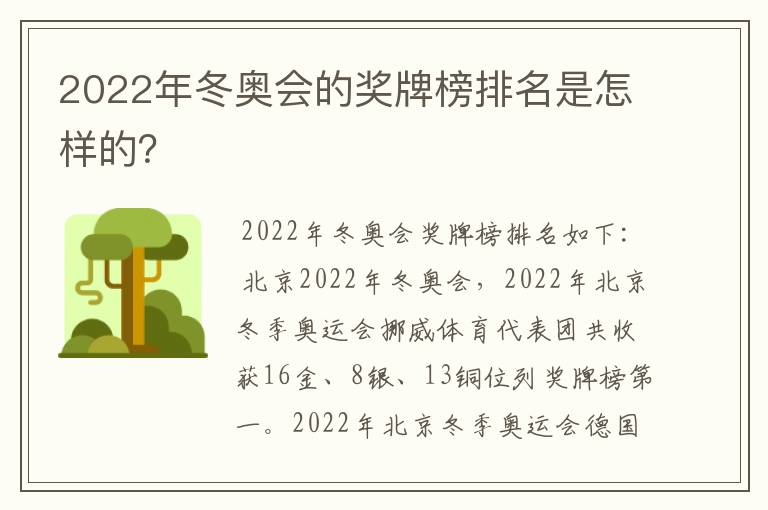 2022年冬奥会的奖牌榜排名是怎样的？