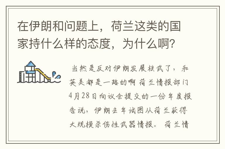 在伊朗和问题上，荷兰这类的国家持什么样的态度，为什么啊？