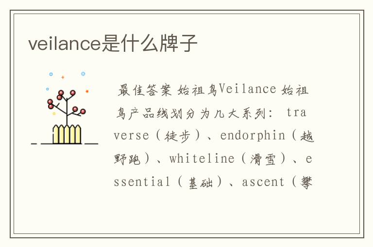 veilance是什么牌子