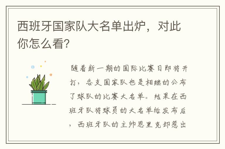 西班牙国家队大名单出炉，对此你怎么看？