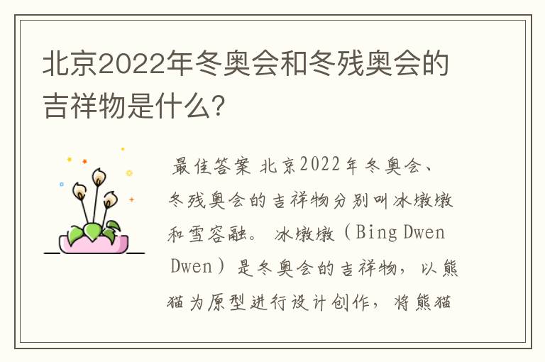 北京2022年冬奥会和冬残奥会的吉祥物是什么？