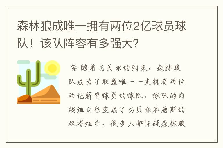 森林狼成唯一拥有两位2亿球员球队！该队阵容有多强大？