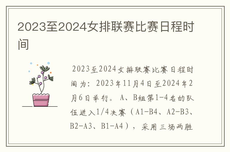 2023至2024女排联赛比赛日程时间