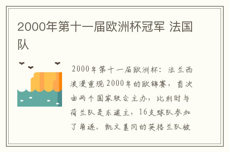 2000年第十一届欧洲杯冠军 法国队