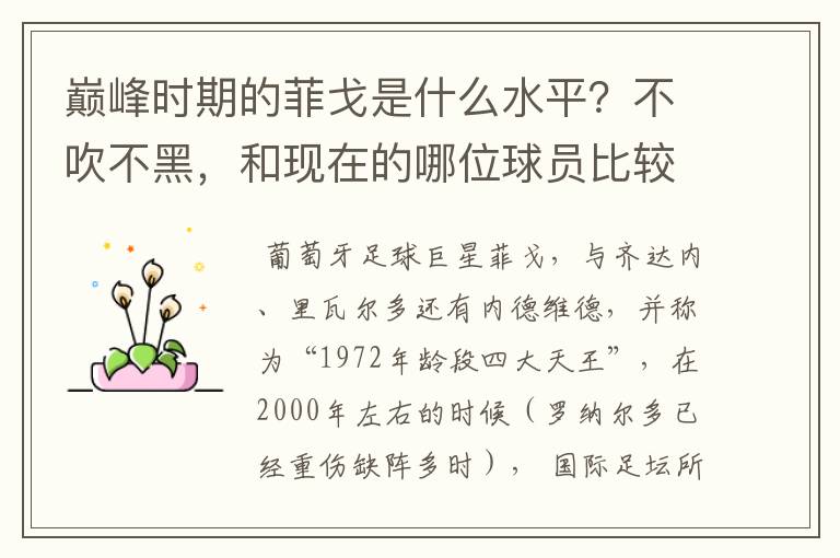 巅峰时期的菲戈是什么水平？不吹不黑，和现在的哪位球员比较相似？