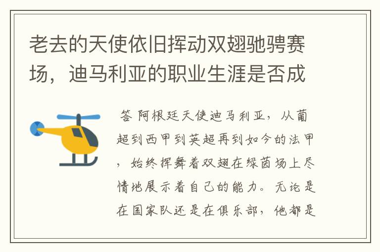 老去的天使依旧挥动双翅驰骋赛场，迪马利亚的职业生涯是否成功？