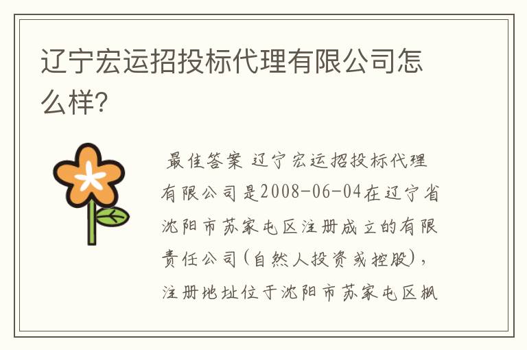 辽宁宏运招投标代理有限公司怎么样？