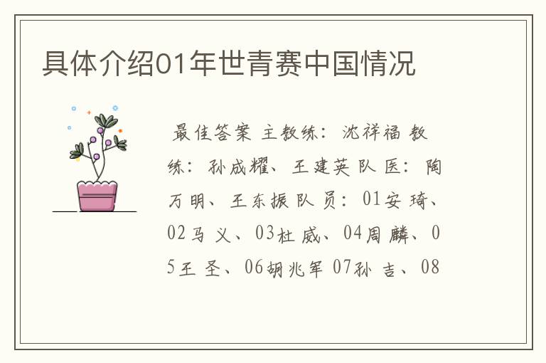 具体介绍01年世青赛中国情况