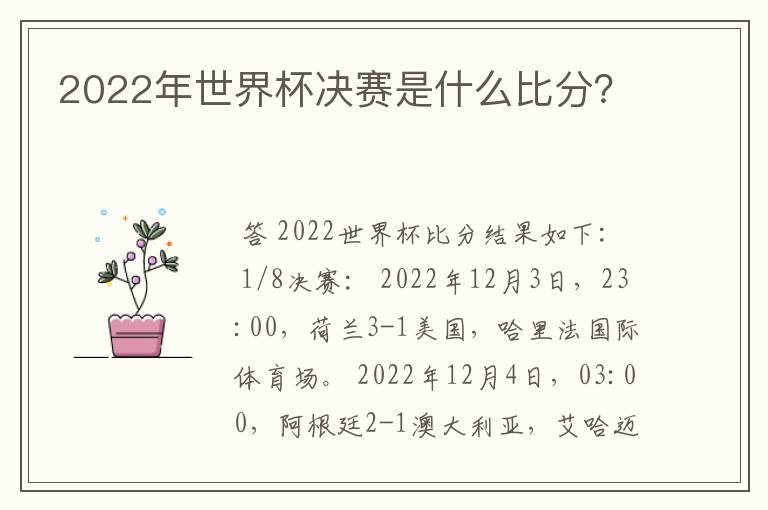 2022年世界杯决赛是什么比分？