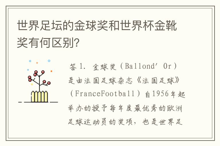 世界足坛的金球奖和世界杯金靴奖有何区别？