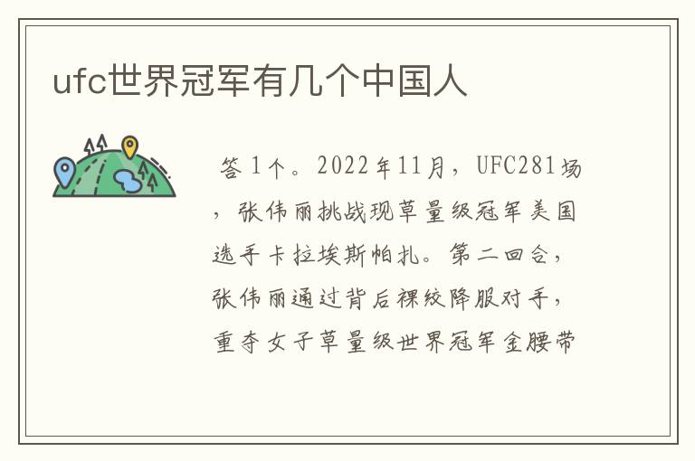 ufc世界冠军有几个中国人