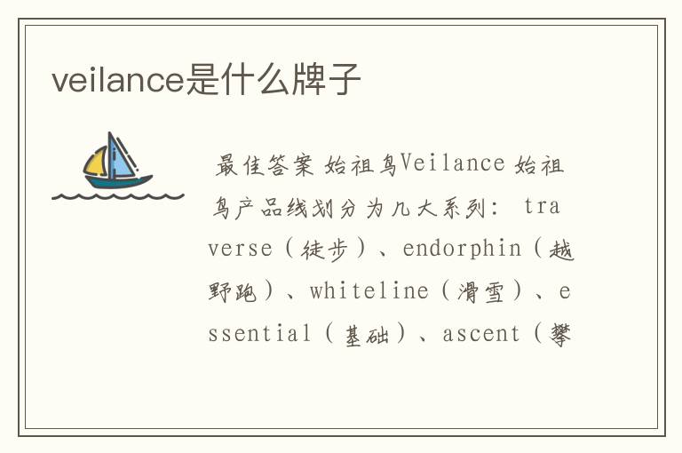 veilance是什么牌子