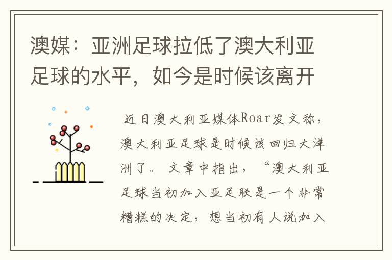 澳媒：亚洲足球拉低了澳大利亚足球的水平，如今是时候该离开了