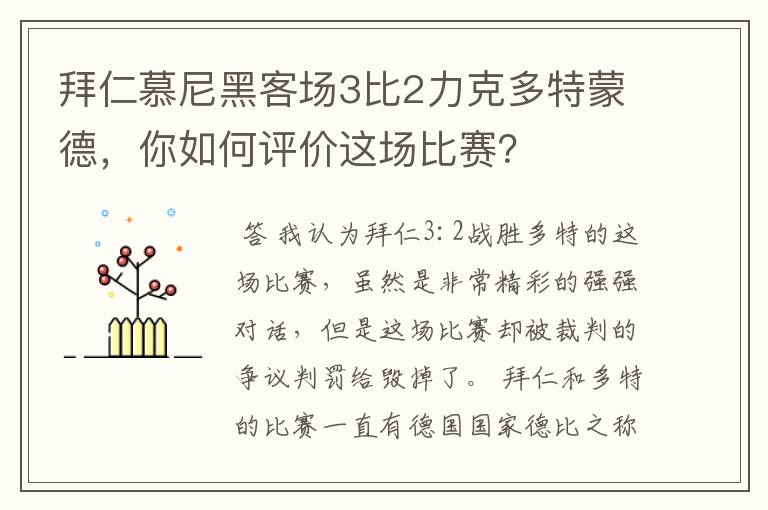 拜仁慕尼黑客场3比2力克多特蒙德，你如何评价这场比赛？