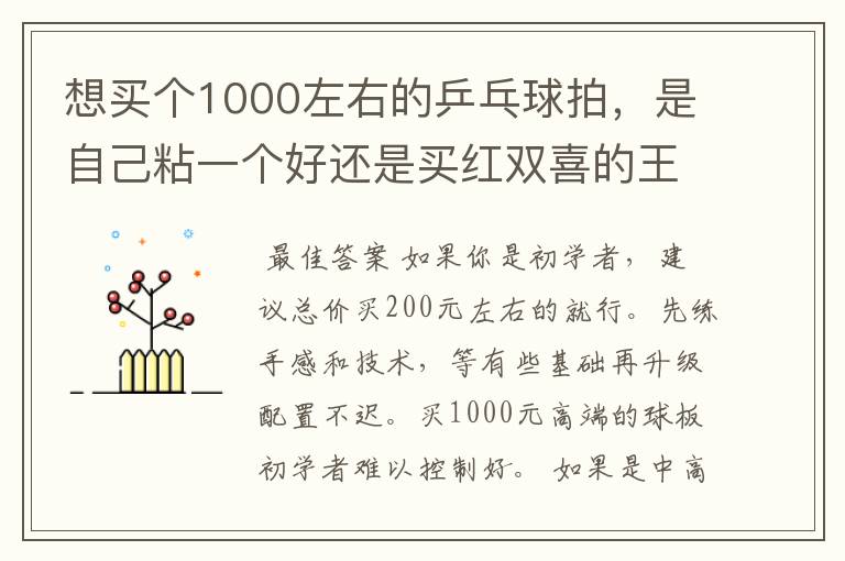 想买个1000左右的乒乓球拍，是自己粘一个好还是买红双喜的王励勤牌子，还是马龙的拍子