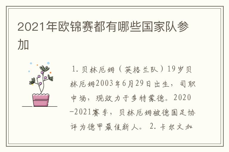 2021年欧锦赛都有哪些国家队参加