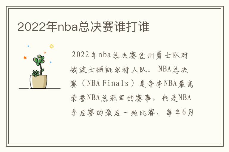 2022年nba总决赛谁打谁